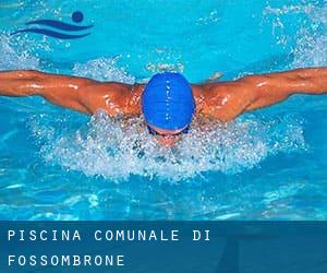 Piscina Comunale di Fossombrone