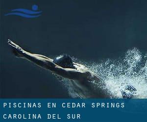 Piscinas en Cedar Springs (Carolina del Sur)