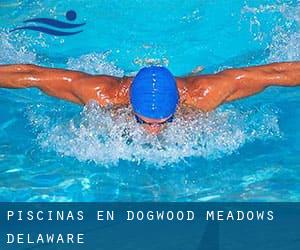 Piscinas en Dogwood Meadows (Delaware)