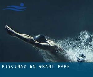 Piscinas en Grant Park