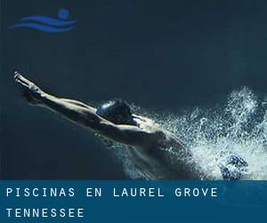 Piscinas en Laurel Grove (Tennessee)