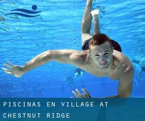 Piscinas en Village at Chestnut Ridge