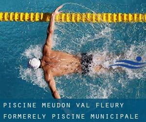 Piscine Meudon - Val Fleury (formerely Piscine municipale Guy Bey)