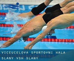 Víceúcelová sportovní hala Slaný / VSH Slaný